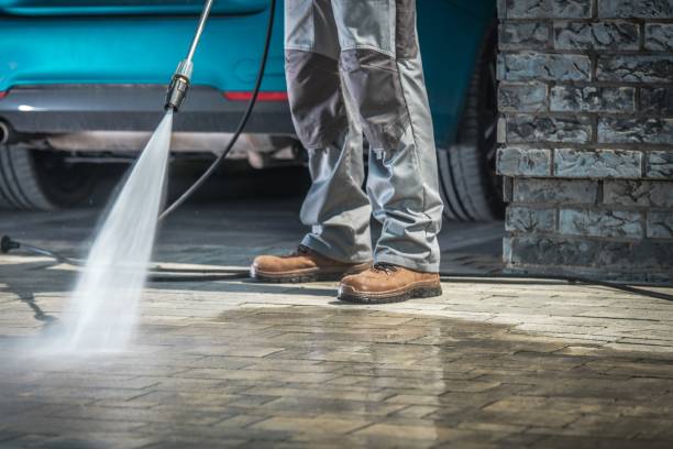 Best Driveway Cleaning and Restoration in Olive Hill, KY