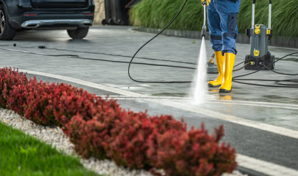 Best Sidewalk and Walkway Pressure Cleaning in Olive Hill, KY