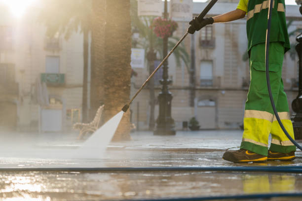 Best Roof Cleaning and Mildew Removal in Olive Hill, KY